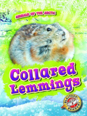 cover image of Collared Lemmings